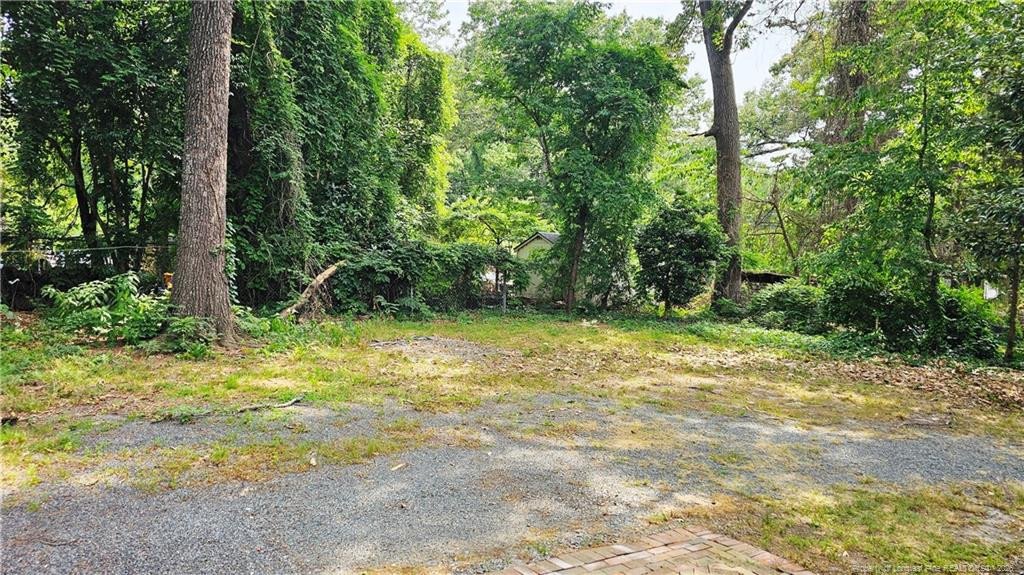 134 McGill Street, Sanford, NC 27330 — photo 19